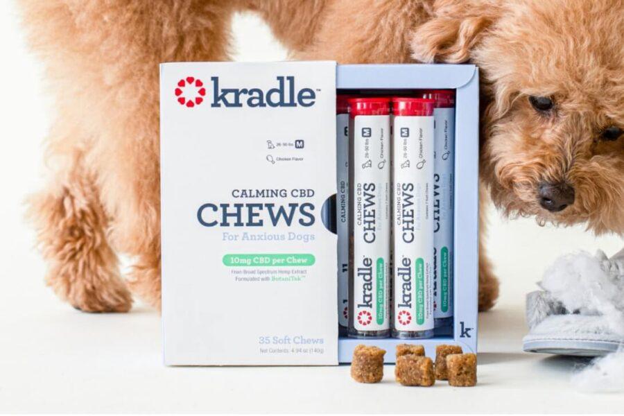 Dog next to box of Kradle calming chews