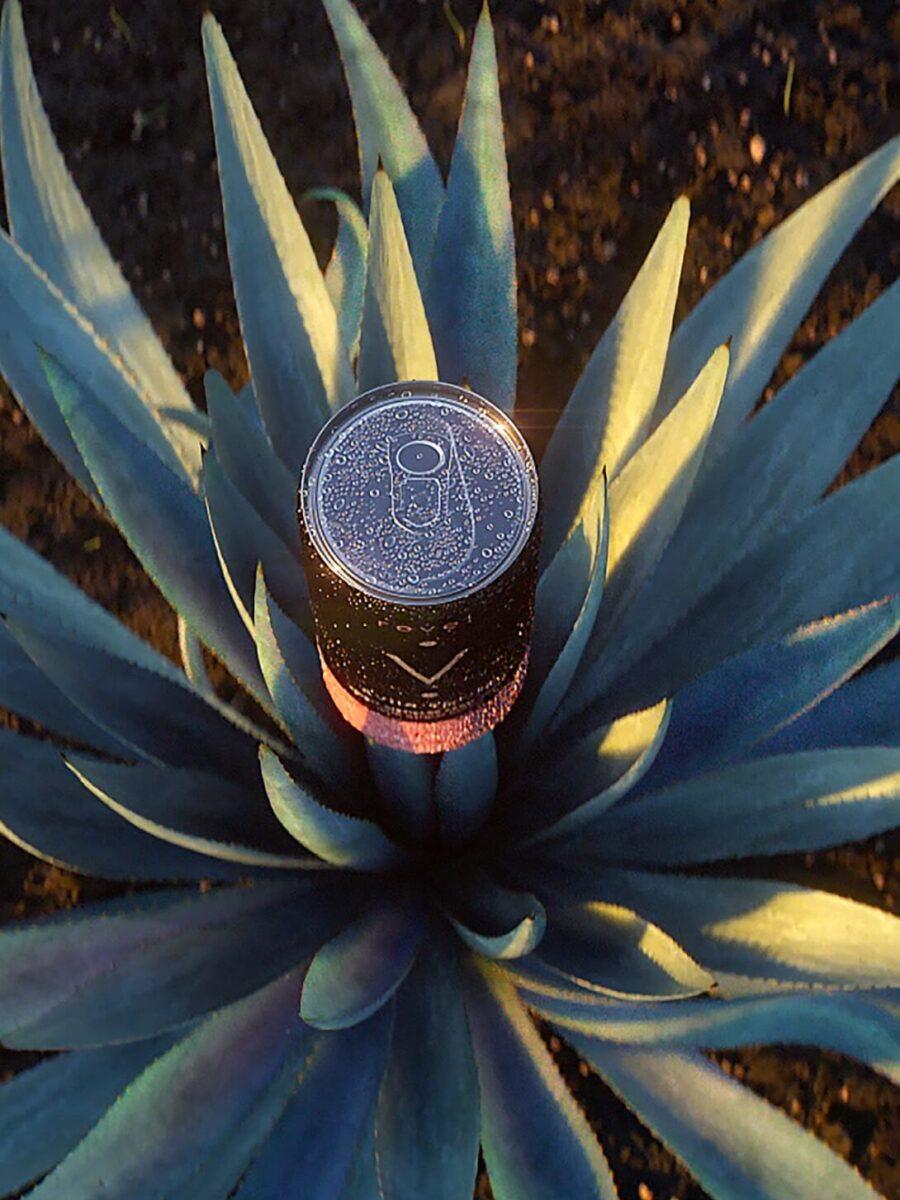 Revel Avila Spritz can coming out of agave plant